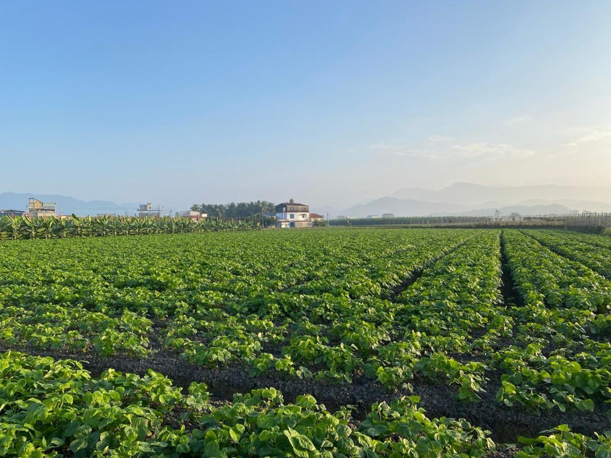 Mei Nong Villa Mei-nung Ngoại thất bức ảnh