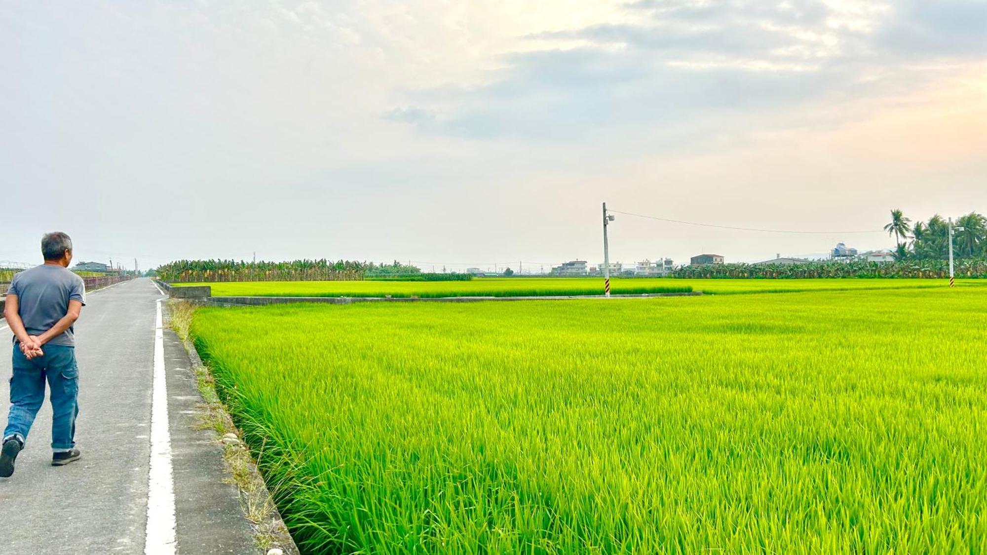 Mei Nong Villa Mei-nung Ngoại thất bức ảnh