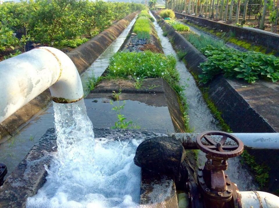 Mei Nong Villa Mei-nung Ngoại thất bức ảnh