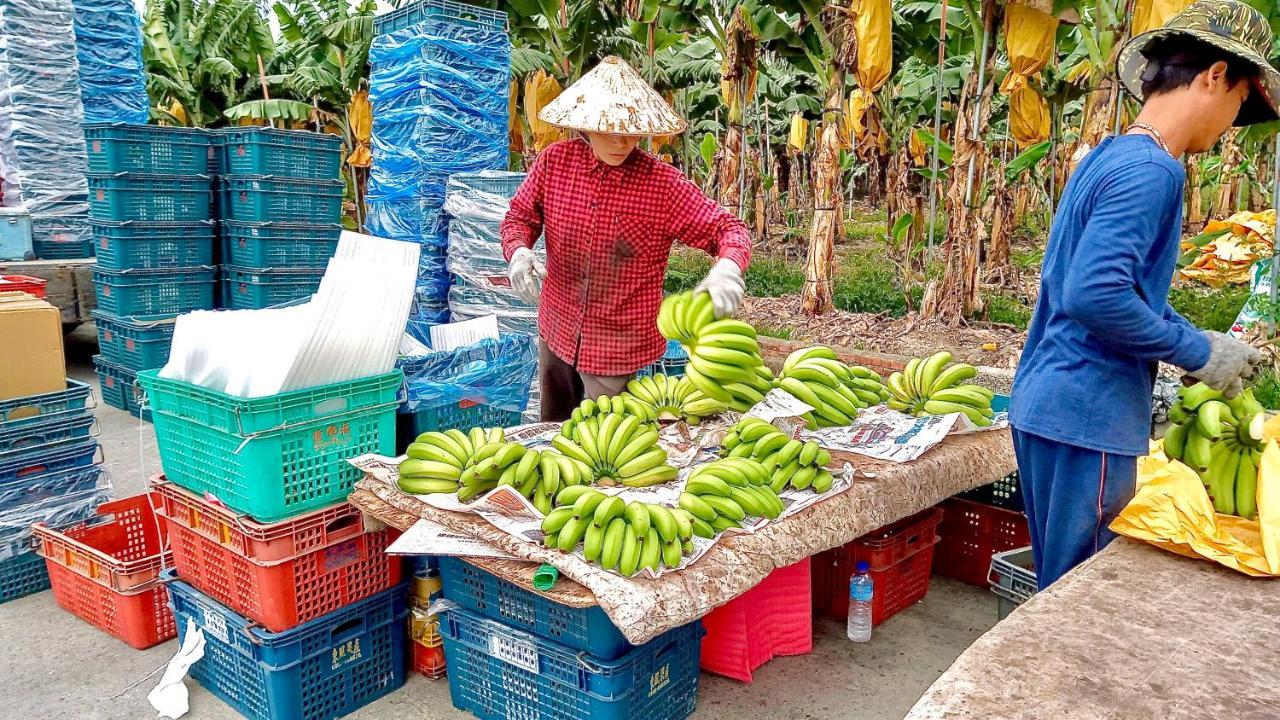 Mei Nong Villa Mei-nung Ngoại thất bức ảnh